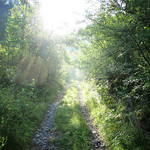 La Ruta dels Santuaris: Gerri de la Sal - Santa Maria de Gerri - Mare de D&eacute;u d'Arbol&oacute; - Arcal&iacute;s - Baro