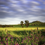 Rural Treasures || COWRA || NSW