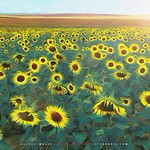 La energ&iacute;a solar. Energ&iacute;as renovables. Campo de Girasoles por la tarde // Solar energy. Renewable energy. Field of Sunflowers in the afternoon..