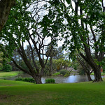 Salir a pasear con nuestra c&aacute;mara, en d&iacute;as nublados y lluvia intermitente, tambi&eacute;n tiene sus encantos&hellip;