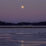 The Full Moon 11.4.2017