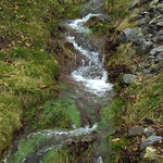 Meandering brook