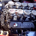 Texas Cobra Club Spring Meet