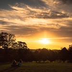 Golden Primrose Hilll