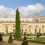 167 - Orangerie - Versailles