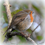 "Baby it`s cold outside"