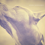 Ahhh Fresh Spring Air!