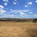 Monaro Grasslands