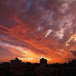 Sunday, 03-Jan-2010 from my window