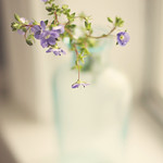 Add a little tenderness