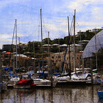 Townsville Textures - Ross Creek