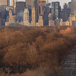 Sunrise over Central Park