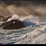 Point Lobos Light PSIMG_1496-web