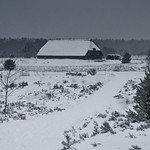 winterland_(5_von_11)