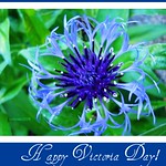 Happy Victoria Day!