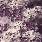 i know you're not scared of anything at all (explore)