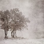 The endless winter of my soul