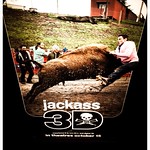 _jackass