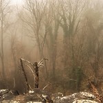 Autumn colors and moodiness on Christmas Eve