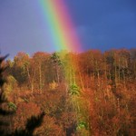 Rainbow in spring, 107