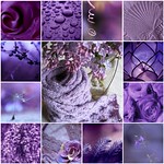 Pretty Purple !
