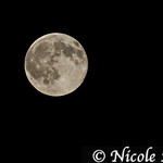 Full Moon