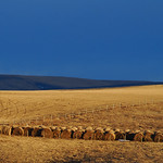 Near Longview Alberta 2010