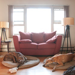 living room - bare walls