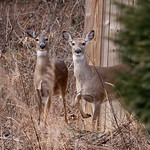 Stomping out the warning...