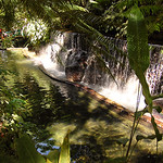 Bato Springs, San Pablo, Laguna