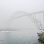 Foggy bridge