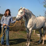 Elizabeth and the white horse