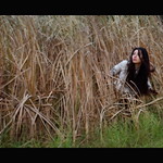 169/365: 'A Clearing Exit'