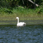 kayaking july 2010 069