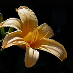 In the spotlight ... :-)