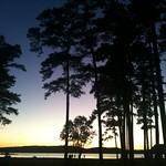 Pine Trees at Sunset on Lake Guntersville State Park, AL - h
