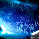 Still Water [12/365]