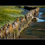 Analog Erosion Control Device