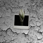 Born Into Nothingness