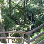 A walk through the upper lake region.