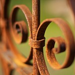 Rusty fence-friday!