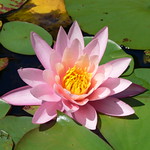 kayaking july 2010 034