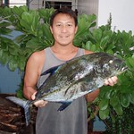omilu ulua