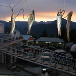 FISH IN SHOGRAN,NARAN,Photo By Naeem Ghauri