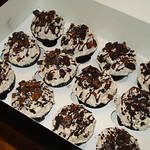 Fall Oreo Cupcakes