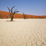 Deadvlei