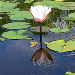 kayaking july 2010 055