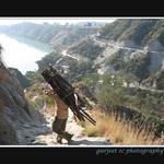 ADOPT THE PACE OF NATURE : HER SECRET IS PATIENCE !!!!