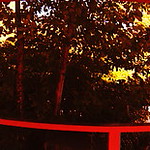 Labyrinthe hypnotique