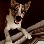 41/52 - a room above a busy street